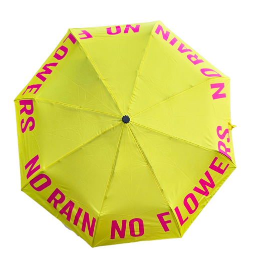 Stylischer Regenschirm mit Spruch – NO RAIN NO FLOWERS